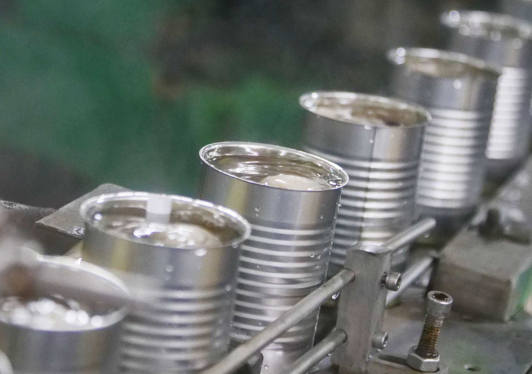 Canned Mushroom Production