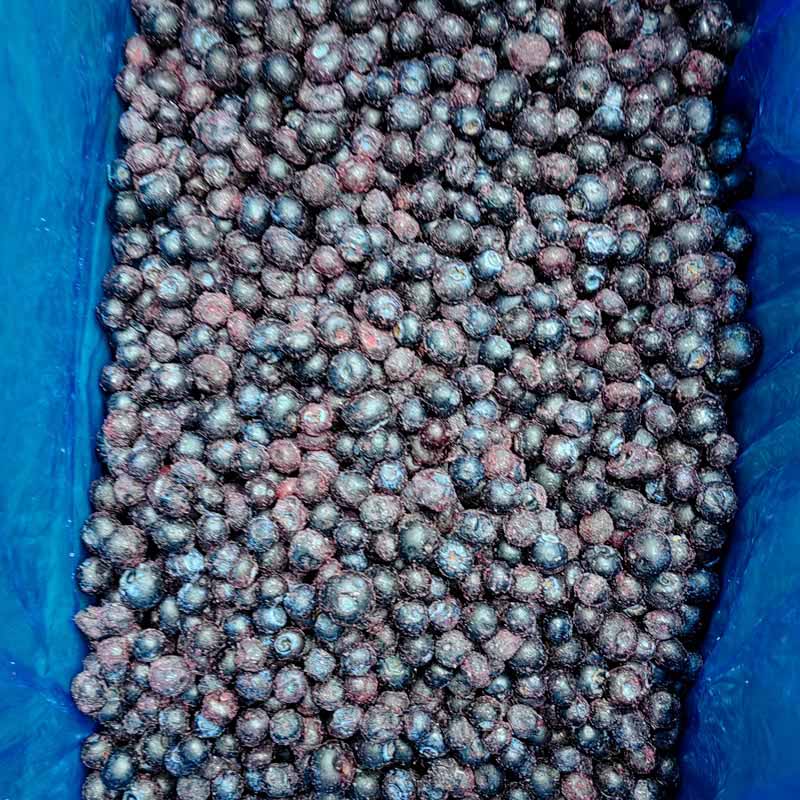 速冻蓝莓 - 双用