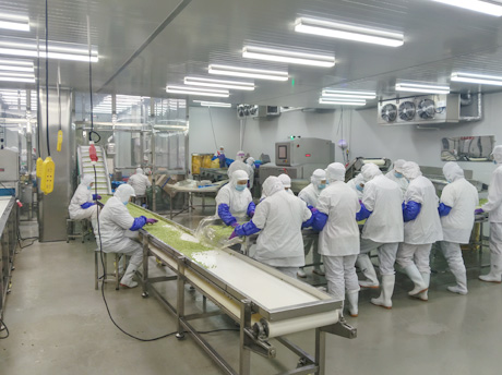 以人为本：我们的团队如何庆祝食品安全与质量月